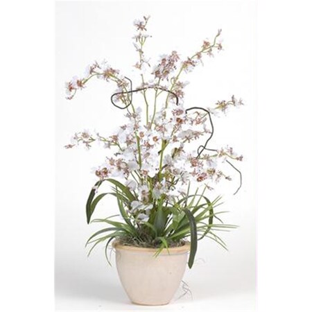 Dare2Decor Dancing Lady Silk Orchid Arrangement DA103033